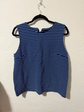 Banana Republic Navy and White Striped Tank